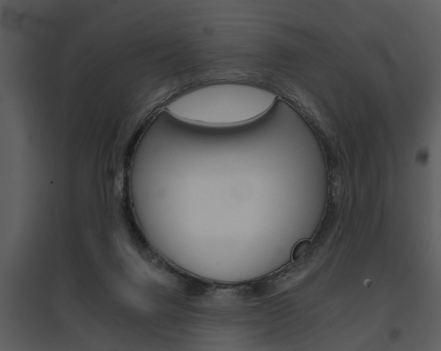 X0000095670072200801081049