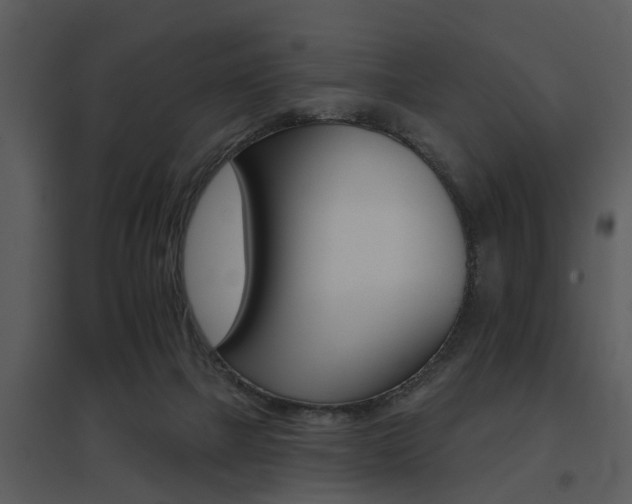 X0000095670073200801081049