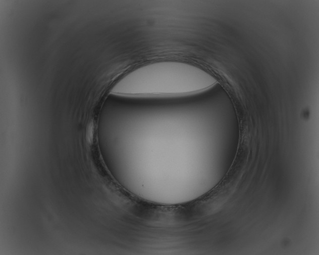 X0000095670076200801081049