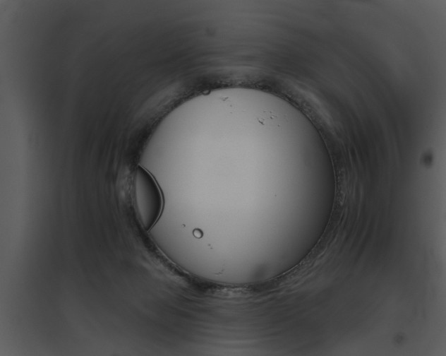 X0000095670077200801081049