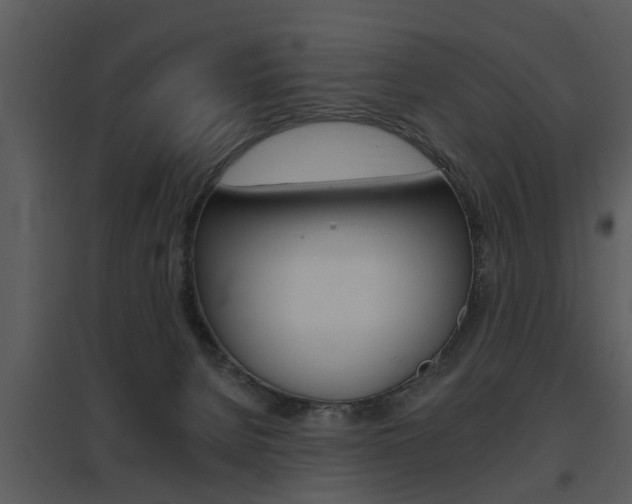 X0000095670080200801081049
