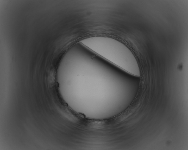 X0000095670081200801081049