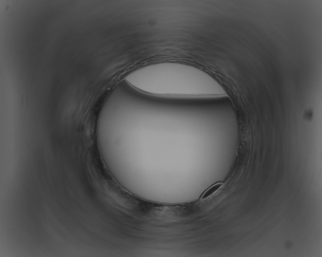 X0000095670082200801081049