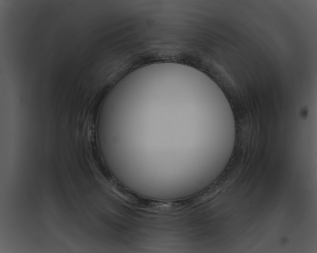 X0000095670083200801081049
