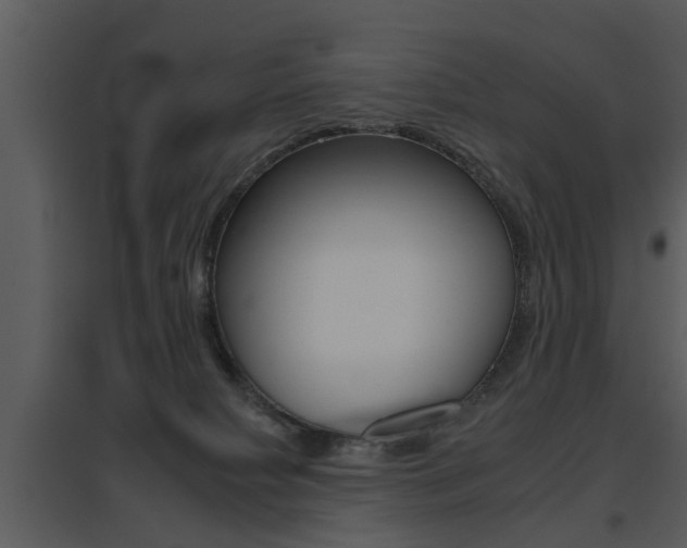 X0000095670084200801081049