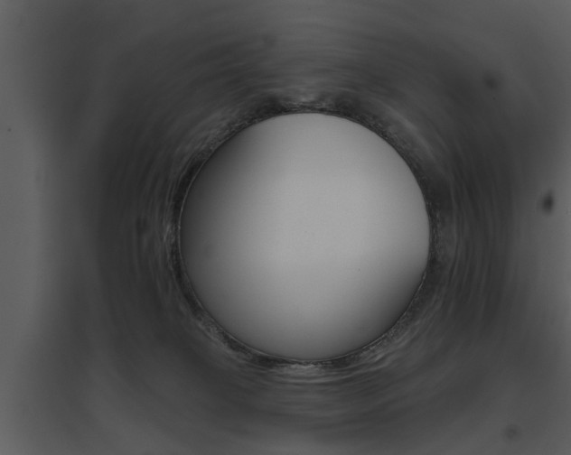 X0000095670085200801081049