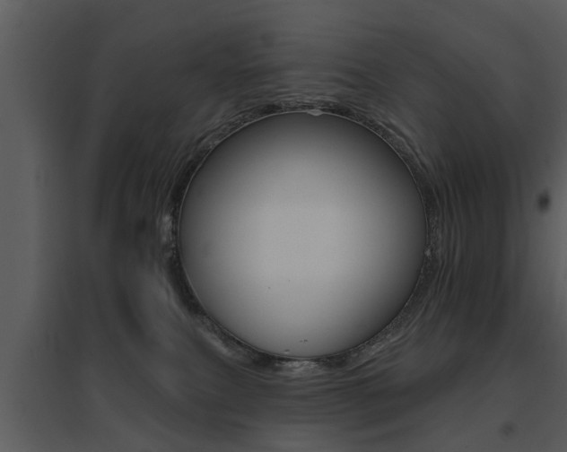 X0000095670087200801081050