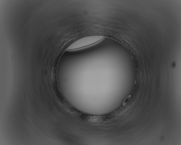 X0000095670088200801081050