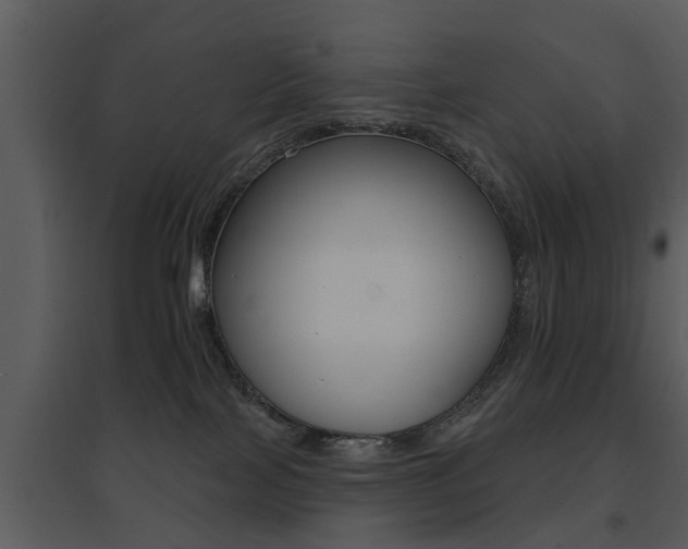 X0000095670089200801081050