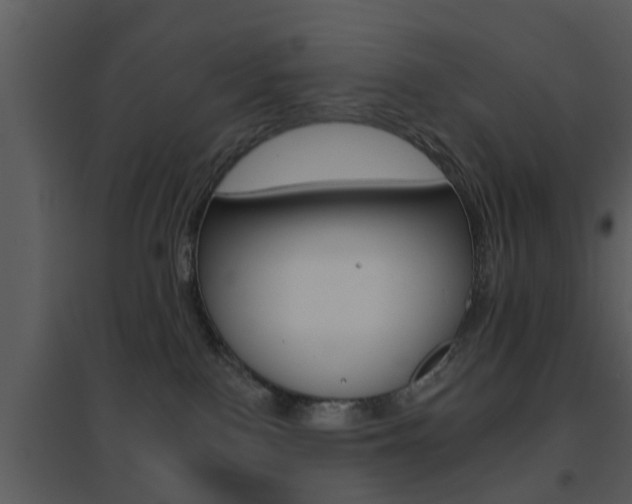 X0000095670090200801081050