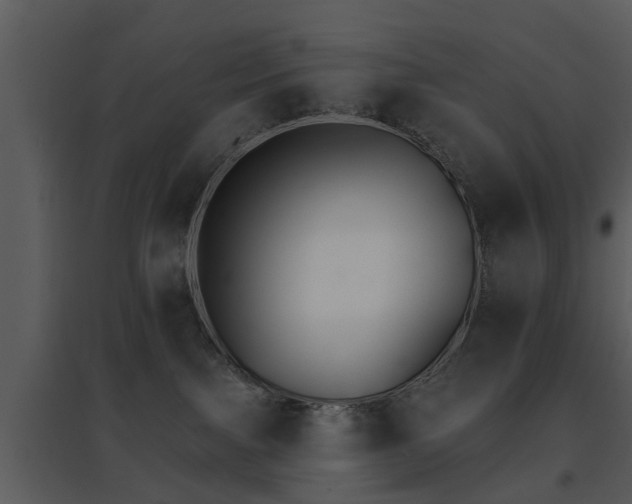 X0000095670091200801081050