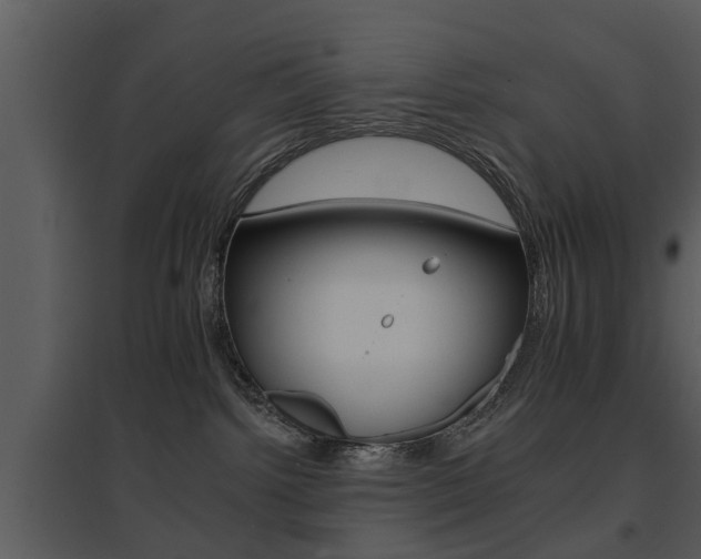 X0000095670092200801081050