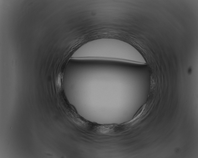 X0000095670094200801081050
