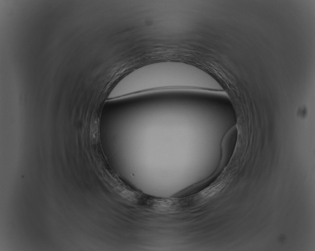 X0000095670096200801081050