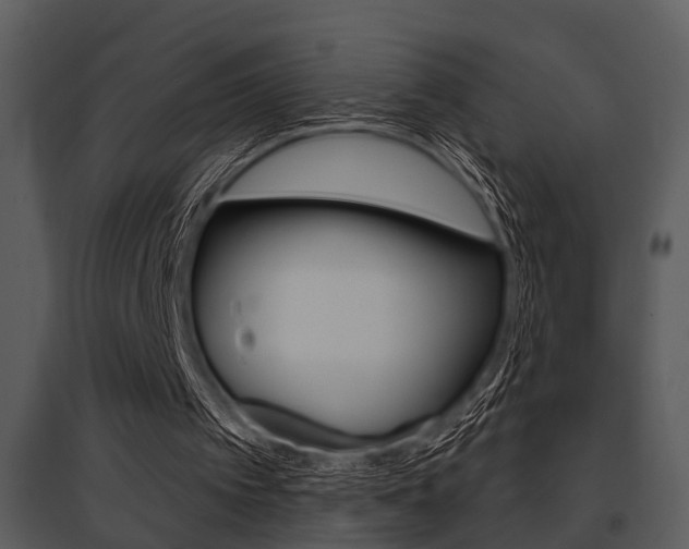 X0000095670097200801081049
