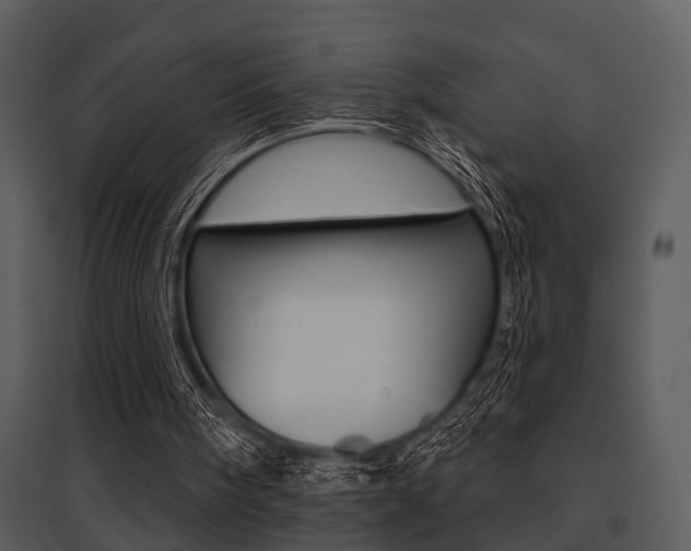 X0000095670098200801081049