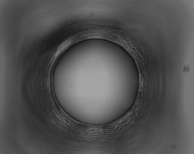 X0000095670099200801081049