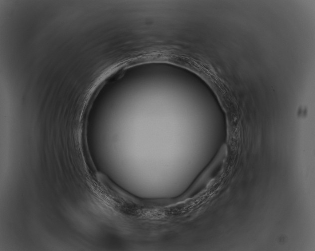 X0000095670100200801081049
