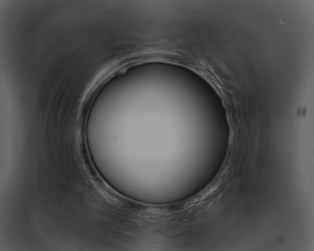 X0000095670101200801081049