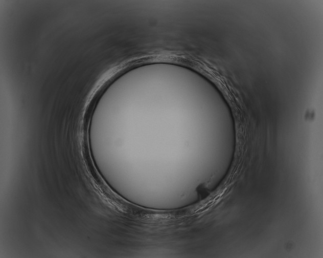 X0000095670102200801081049