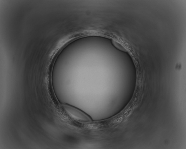 X0000095670103200801081049