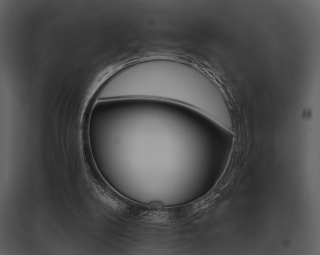 X0000095670104200801081049