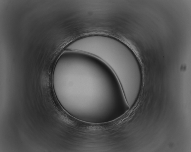 X0000095670105200801081049