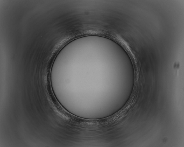 X0000095670106200801081049