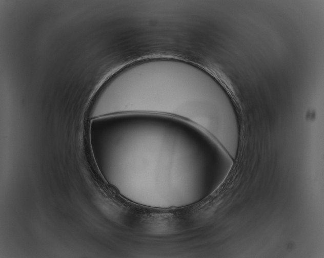 X0000095670108200801081049