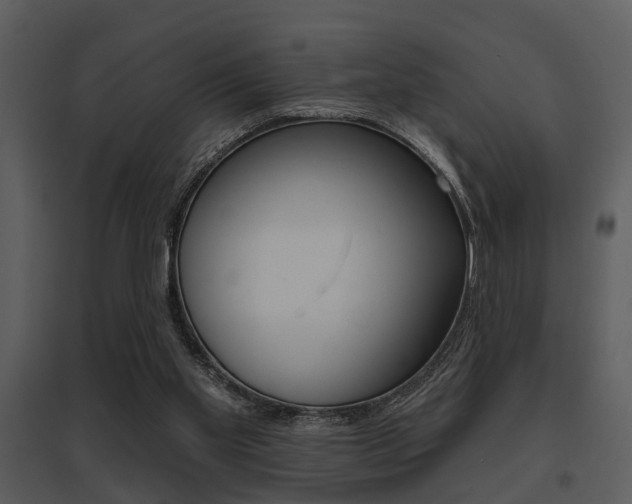 X0000095670109200801081049