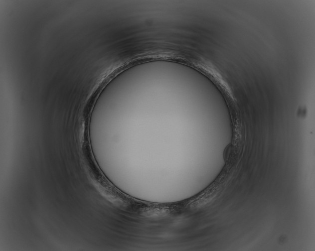 X0000095670110200801081049