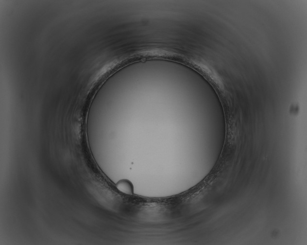X0000095670111200801081049