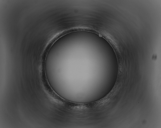 X0000095670112200801081049