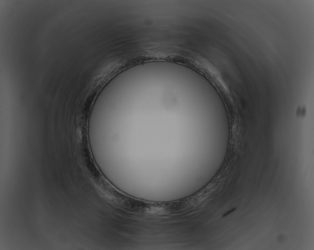 X0000095670114200801081049