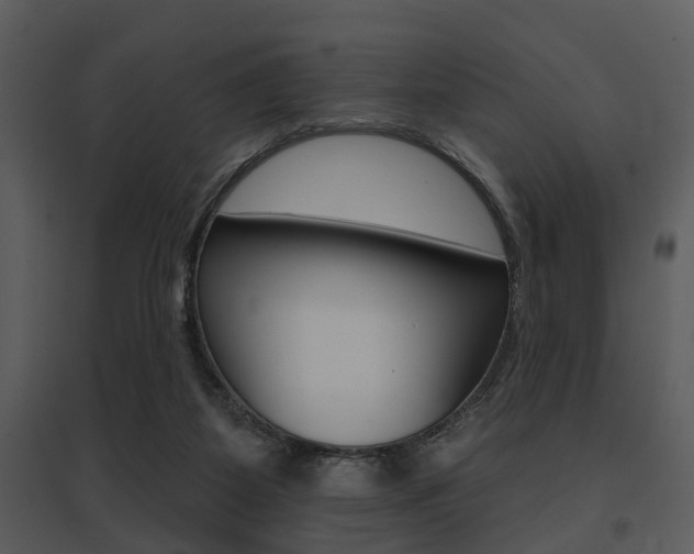 X0000095670115200801081049