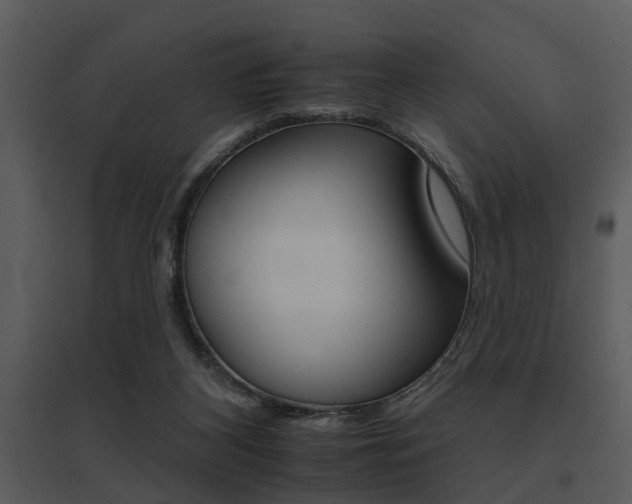 X0000095670116200801081049