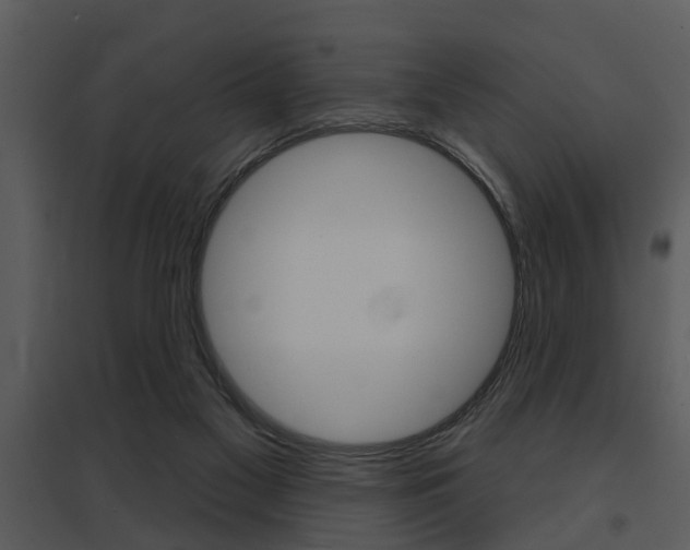 X0000095670117200801081049