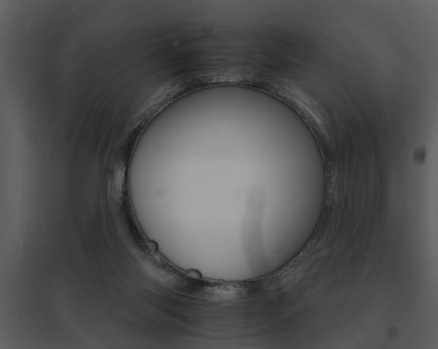 X0000095670118200801081049