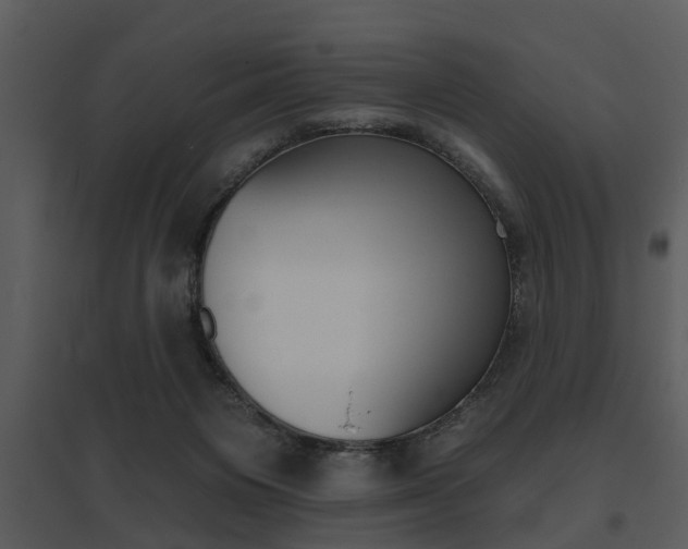 X0000095670119200801081049