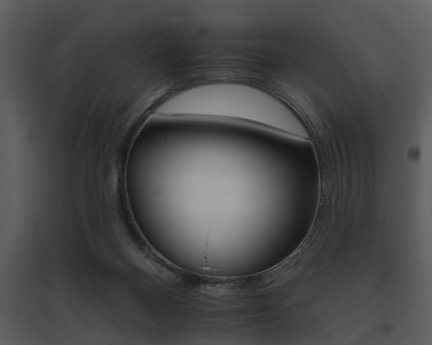 X0000095670120200801081049