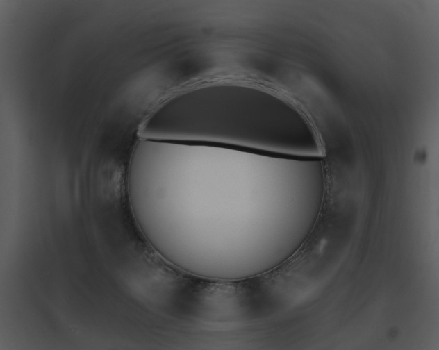 X0000095670123200801081048