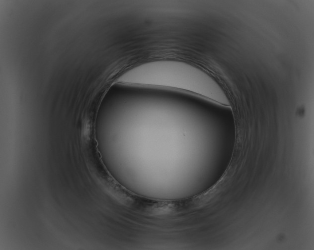 X0000095670124200801081048