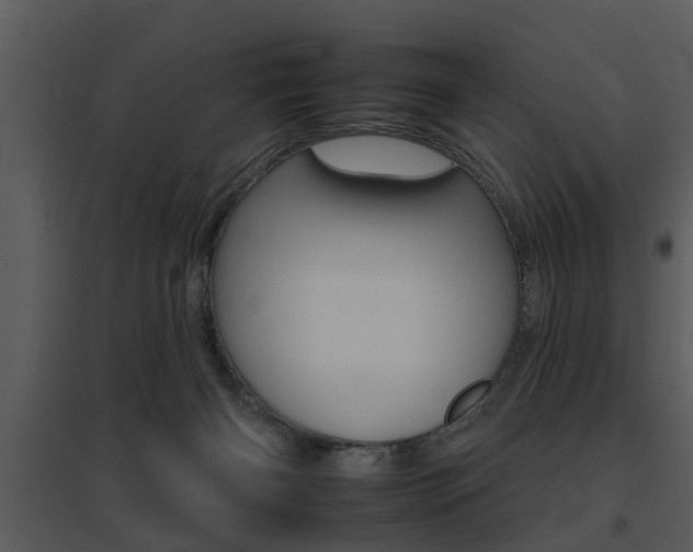 X0000095670126200801081048