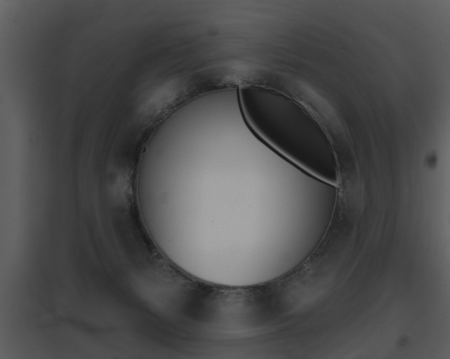 X0000095670127200801081048