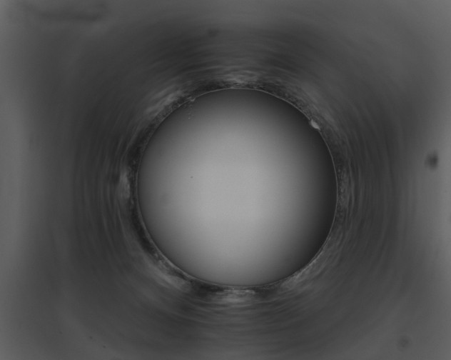 X0000095670128200801081048