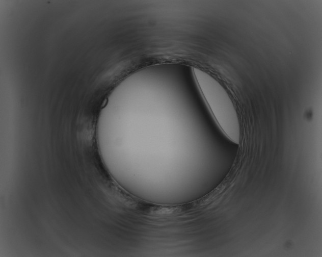 X0000095670129200801081048
