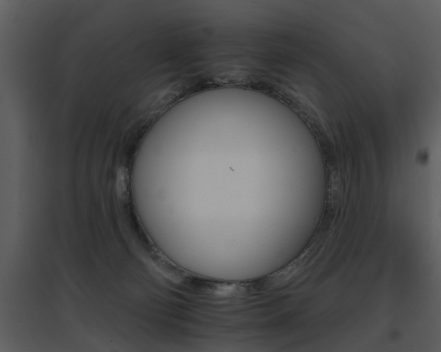 X0000095670130200801081048