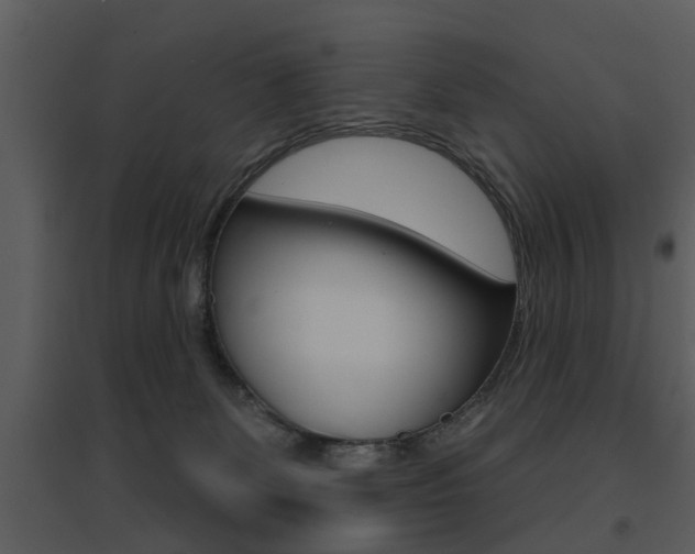 X0000095670131200801081048