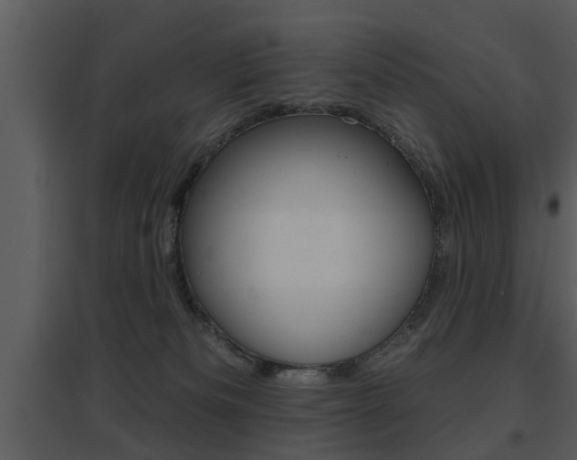 X0000095670133200801081048
