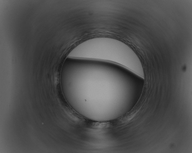 X0000095670135200801081048